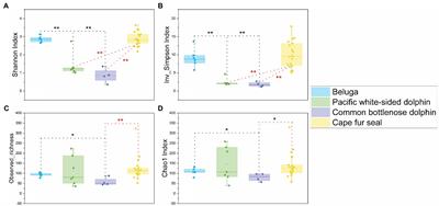 Comparative Study of the Gut Microbiota Among Four Different Marine Mammals in an Aquarium